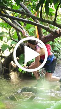 BIB:  <button type="button" onclick="openModal(27486243)" class="btn btn-primary btn-sm float-right" data-toggle="modal" data-target=".modal-high-quality">
                <i class="fa fa-download"></i> Download
                </button>